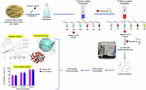 Exploration of potential antihypertensive peptides derived from farmed Chinese giant salamander (Andrias davidianus)