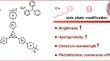 Improving Photophysical Properties and Hydrophily of Conjugated Polymers Simultaneously by Side-Chain Modification for Near-Infrared Cell Imaging.