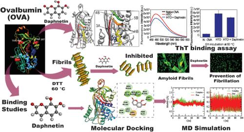 Binding Interaction of Coumarin Derivative Daphnetin with Ovalbumin: Molecular Insights into the Complexation Process and Effects of Metal Ions and pH in the Binding and Antifibrillation Studies.