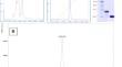 Crotamine derived from Crotalus durissus terrificus venom combined with drugs increases in vitro antibacterial and antifungal activities