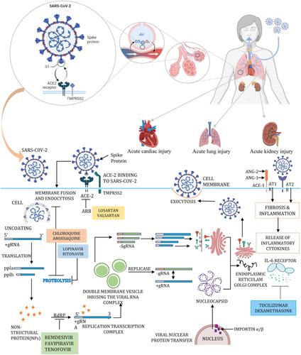 An in-depth analysis of COVID-19 treatment: Present situation and prospects.