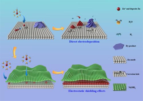 Manipulating crystallographic growth orientation by cation‐enhanced gel‐polymer electrolytes toward reversible low‐temperature zinc‐ion batteries