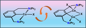 The striking influence of solubility on the nuclearity of cobalt NCN pincer complexes