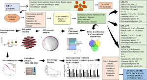 Doxorubicin downregulates cell cycle regulatory hub genes in breast cancer cells.