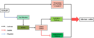 Xiaoyankangjun tablet alleviates dextran sulfate sodium-induced colitis in mice by regulating gut microbiota and JAK2/STAT3 pathway