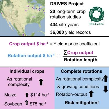 Rotational complexity increases cropping system output under poorer growing conditions