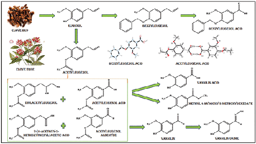 Oxidation of Eugenol Derivatives with KMnO4 and CrO3