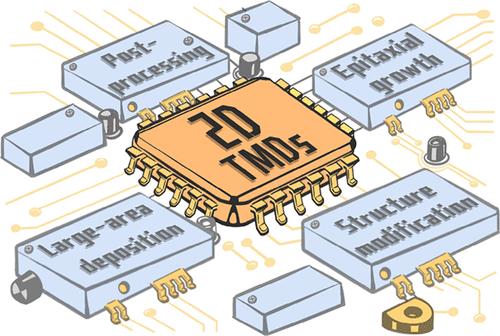 Large-Area Epitaxial Growth of Transition Metal Dichalcogenides.