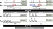 Quantitative non-contrast perfusion MRI in the body using arterial spin labeling.