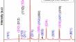 Effect of simultaneous substitution of Sr and Ca in LaMnO3 thin-film electrode prepared via in situ sol–gel process