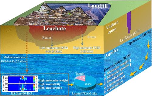 Molecular Response of Dissolved Organic Matter in Aquifer to Landfill Leachate Leakage