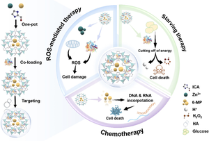 Zinc-based metal-organic frameworks as efficient carriers for anticancer drug to reduce toxicity and increase efficacy