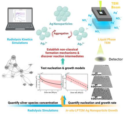 Discovery of Molecular Intermediates and Nonclassical Nanoparticle Formation Mechanisms by Liquid Phase Electron Microscopy and Reaction Throughput Analysis