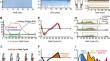 Alpha and beta/low-gamma frequency bands may have distinct neural origin and function during post-stroke walking.