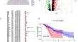 Identifying and validating the roles of the cuproptosis-related gene DKC1 in cancer with a focus on esophageal carcinoma.