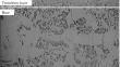 Influence of Diffusion Alloying of Steel 20 in Medium of Low-Melting Liquid Metal Solutions by Elements of Ni–Cu System on Elemental Composition and Properties of Surface Layers