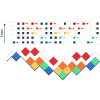 Mirror symmetry breakdown in the Kardar-Parisi-Zhang universality class