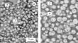 Structure, Phase Composition, Mechanical and Corrosion Properties of Aluminum-Based Composites