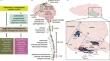 Direct current stimulation as a non-invasive therapeutic alternative for treating autonomic or non-autonomic neurological disorders affecting breathing.