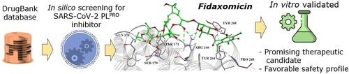 SARS-CoV-2 PL<sup>pro</sup> Inhibition: Evaluating in Silico Repurposed Fidaxomicin's Antiviral Activity Through In Vitro Assessment.