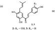 New Chalcone Derivative from Persea americana and Its Anti-Tyrosinase Activity