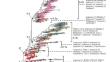 Genetic Diversity and Phylogenetic Relationships of Capsicum frutescens in the Asia–Pacific Region: The Pacific Dispersal Route