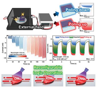 Ultra Low Power Consumption Optoelectronic Logic Operation of CuO/BaTiO3 Heterojunction Photodetector with Tunable Internal Electric Field Based on Poling Effect