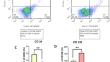 Tetrahydroisoquinoline reduces angiogenesis by interacting myeloma cells with HUVECs mediated by extracellular vesicles.