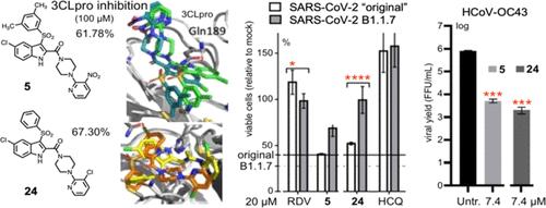 4-(3-Phenylsulfonylindol-2-yl)-1-(pyridin-2-yl)piperazinyl-methanones as Potent Inhibitors of both SARS-CoV-2 and HCoV-OC43 Viruses.