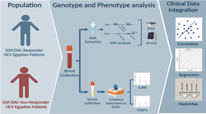 Effect of immunogenetics polymorphism and expression on direct-acting antiviral drug response in chronic hepatitis C.