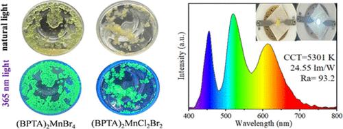 Blue-Excitable–Green-Emitting Organic Manganese Halides for White Light-Emitting Diodes