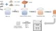 Co-immobilization of strontium and cesium in Sr-feldspar-pollucite composite phase ceramics derived from geopolymer by microwave sintering