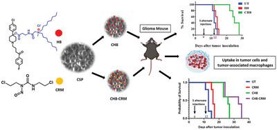 Surface Modified Glucose-Derived, Blood–Brain Barrier-Crossing Nanospheres Dually Targets Macrophage and Cancer Cells for Effective In Situ Anti-Glioma Effect