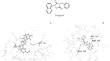 2-Oxomethylcytisine Derivatives with Potential Anti-Coronavirus Activity