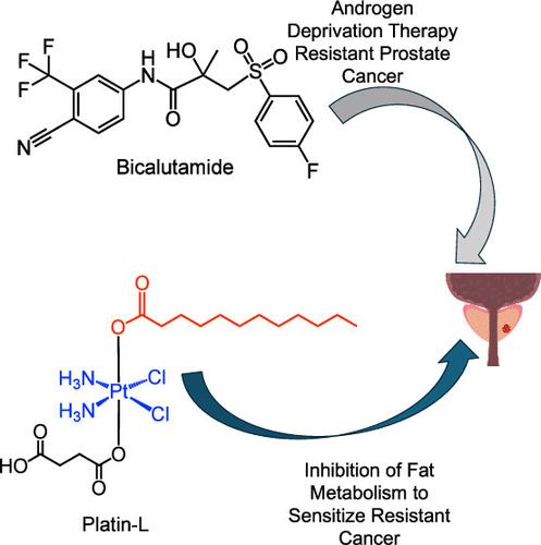 Lipid Metabolism Modulatory Cisplatin Prodrug Sensitizes Resistant Prostate Cancer toward Androgen Deprivation Therapy