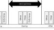 Effects of cerebellar transcranial direct current stimulation on the excitability of spinal motor neurons and vestibulospinal tract in healthy individuals.