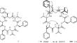 A New Cyclic Peptide from Betel Nut Endophytic Fungus Alternaria sp. RW-AL