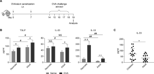 IL-33 released during challenge phase regulates allergic asthma in an age-dependent way