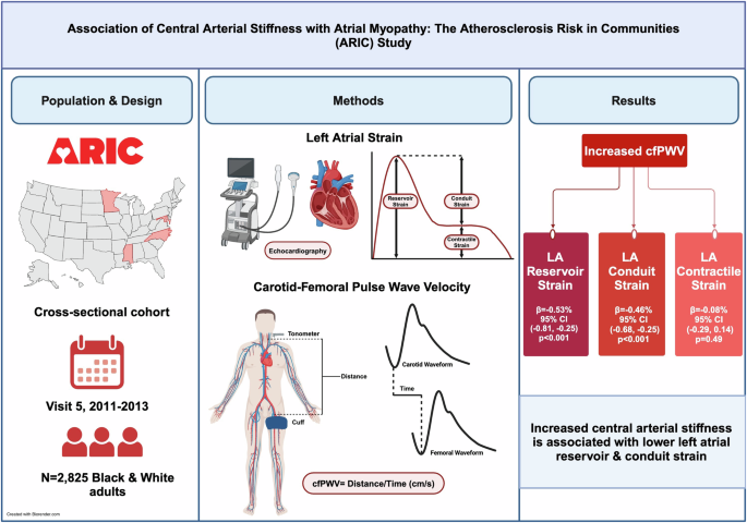 Association of central arterial stiffness with atrial myopathy: the Atherosclerosis Risk in Communities (ARIC) study.