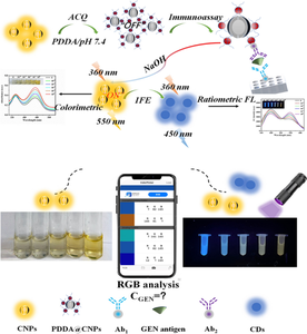 A smartphone-assisted portable dual-mode immunoassay of gentamicin based on curcumin nanoparticles and carbon dots.