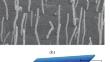 Nitrogen-Doped Carbon Nanotubes as a Promising Material for the Creation of Piezoelectric Nanogenerators