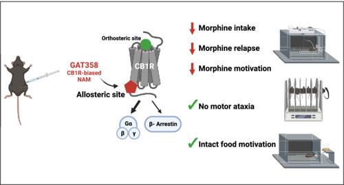 Negative allosteric modulation of CB1 cannabinoid receptor signalling decreases intravenous morphine self-administration and relapse in mice