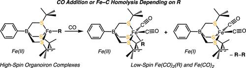 Synthesis, Characterization, and Reactivity of Thioether-Ligated Organoiron(II) Complexes