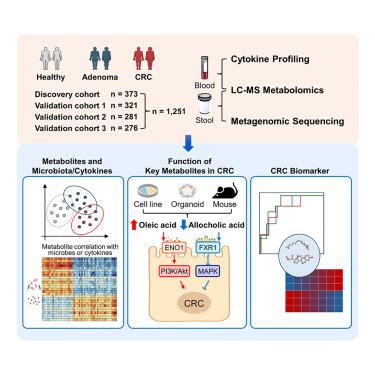 Integrative plasma and fecal metabolomics identify functional metabolites in adenoma-colorectal cancer progression and as early diagnostic biomarkers