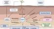 Phosphate and zinc interaction in soil and plants: a reciprocal cross-talk