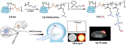 Hyperbranched Polymeric <sup>19</sup>F MRI Contrast Agents with Long <i>T</i><sub>2</sub> Relaxation Time Based on β-Cyclodextrin and Phosphorycholine.