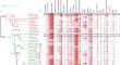 Functional characterization and comparative analysis of AtMYB42 and AtMYB85 promoters to gain insights into transcriptional regulation during development and hormonal induction