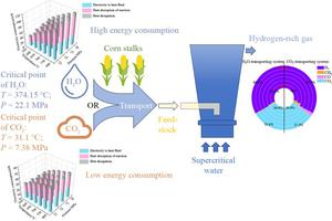 Comparison of CO2 with H2O as the transport medium in a biomass supercritical water gasification system