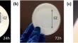 Characterization, whole-genome sequence analysis, and protease production of a new thermophilic Bacillus licheniformis strain isolated from Debagh hot spring, Algeria.