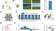 Context-dependent Grid-like Representations of Theta Power in Human Entorhinal Cortex.